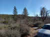 ShingleTownRidgeRd 1.7 miles 120 Deg True.jpg (5694761 bytes)